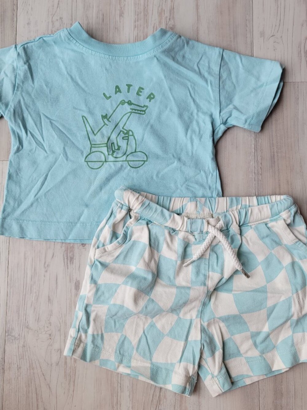 Hanna Andersson Relaxed Fit Graphic T-Shirt & Shorts Set Later Alligator 12-18mo